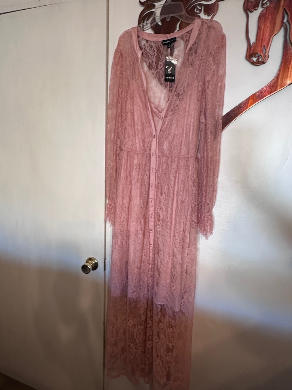 Torrid Mellow arose Pink Sheer and Lace Maxi Dress
